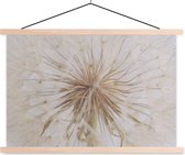 Porte-affiche avec affiche - Affiche scolaire - Fleurs - Pissenlit - Design - 150x100 cm - Lattes vierges