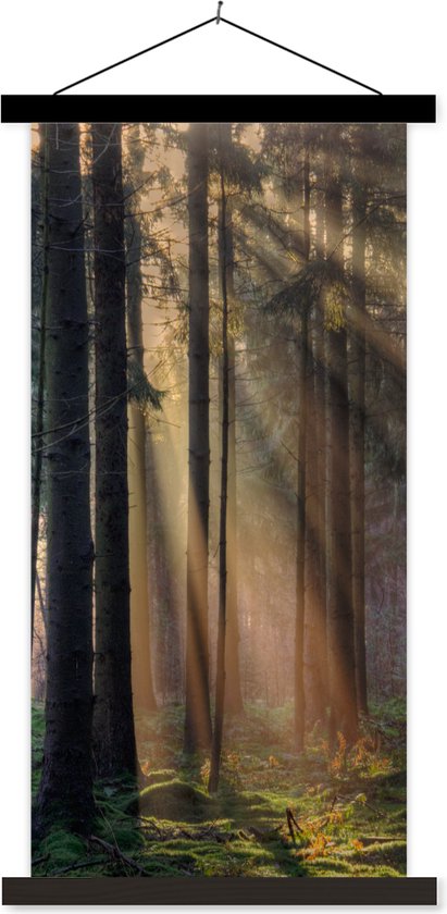 Porte-affiche avec affiche - Affiche scolaire - Arbres - Forêt - Soleil - Plantes - 90x180 cm - Lattes noires