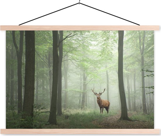 Affiche scolaire - Cerf - Forêt - Arbres - 90x60 cm - Lattes vierges