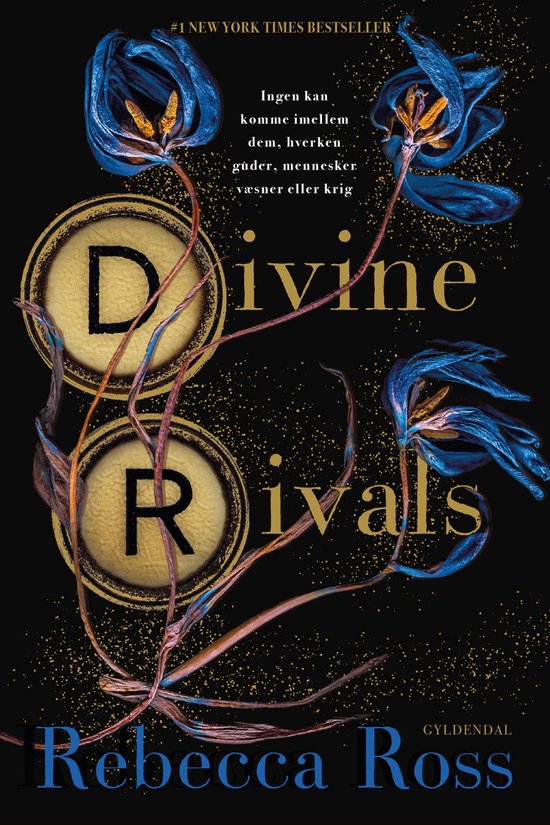 Divine Rivals 1 - Divine Rivals