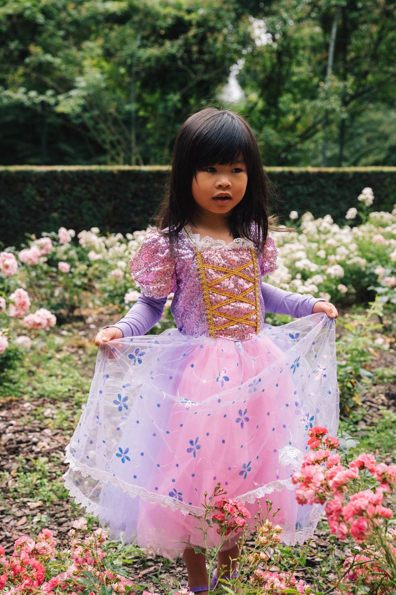 Prinsessenjurk meisje - verkleedjurken meisjes - verkleedkleren kind - prinsessen verkleedkleding - inclusief prinsessen accessoireset — afbeelding 6