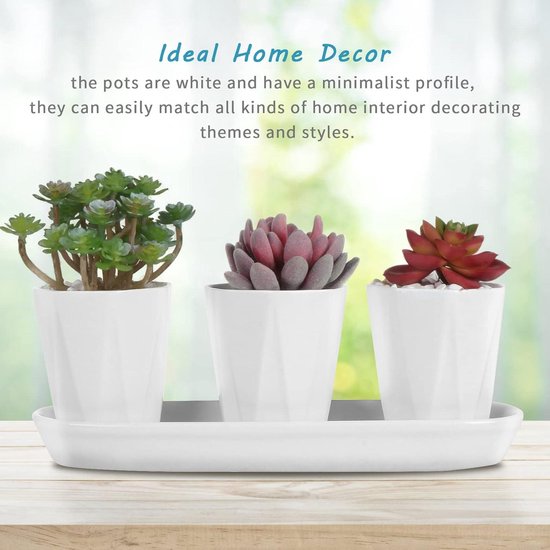 Oairse Set van 2 keramische bloempotten van 12 cm 15 cm met afvoergaten en schoteltjes, decoratieve tuinpotten voor vetplanten, cactussen en kamerplanten Oairse Set van 2 keramische bloempotten van 12 cm 15 cm met afvoergaten en schoteltjes, decoratieve tuinpotten voor vetplanten, cactussen en kamerplanten