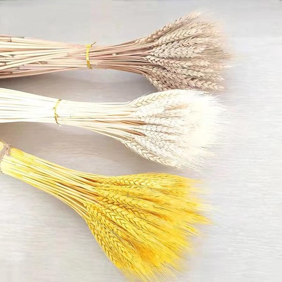 YKKJ Tarwe gedroogde natuurlijke tarwevoeding, 100 stuks, gedroogde tarwebloemen voor bruiloft, middenstuk thuis, balkon, feest, tafel, vaas