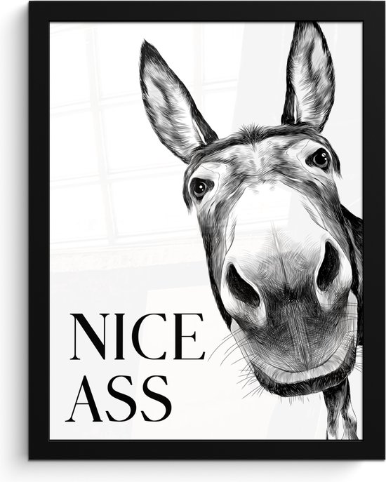 Affiche sous cadre - Cadre photo 30x40 cm - Posters - Citation - Âne - Animaux - Nice cul - Proverbes - Cadre affiche noir - Décoration murale salle de bain - Décoration murale murale toilettes - Accessoires décoratifs - Décoration murale Toilettes