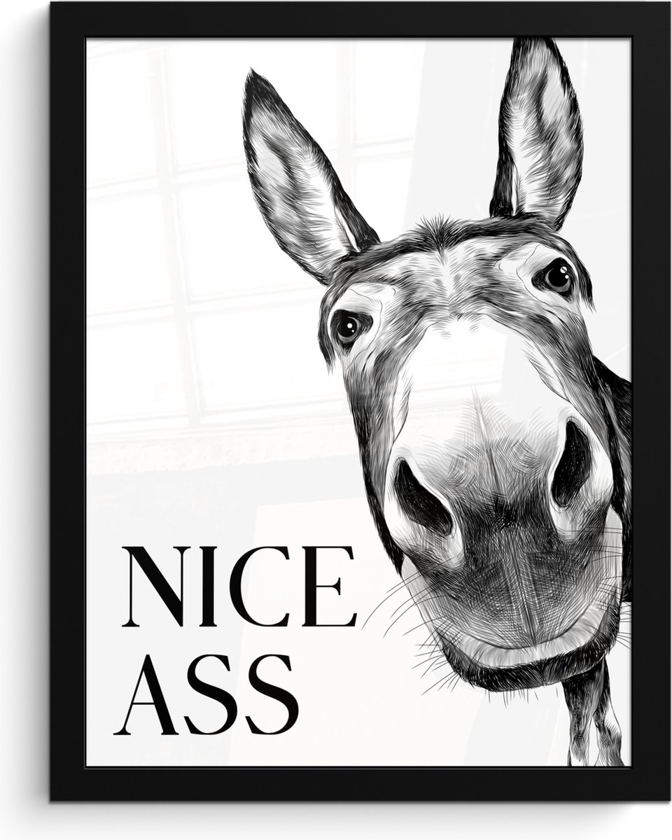 FrameYourWall Poster in lijst - Fotolijst 30x40 cm - Posters - Quote - Ezel - Dieren - Nice ass - Spreuken - Posterlijst zwart - Wanddecoratie badkamer - Muurdecoratie WC - Decoratieve accessoires - Toilet muur decoratie
