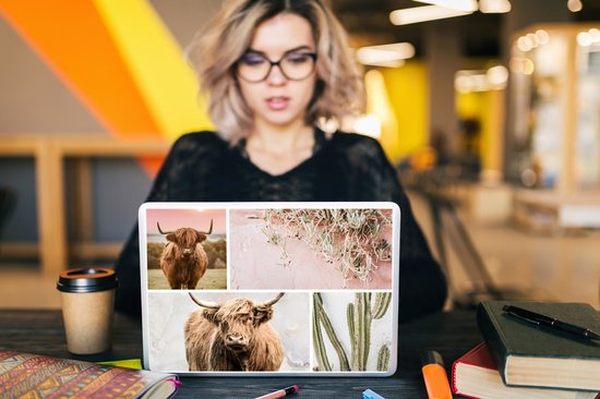 Sticker pour ordinateur portable - 10,1 pouces - Scottish Highlander - Animaux - Pastel