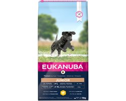 Eukanuba Developing Junior Large Breed Kip - Hondenvoer - 15 kg