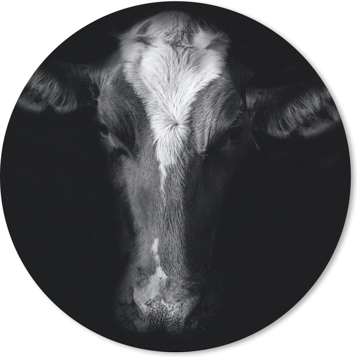 Muismat rond 20x20 cm - Mousepad Koe - Dieren - Zwart - Ronde muismatten