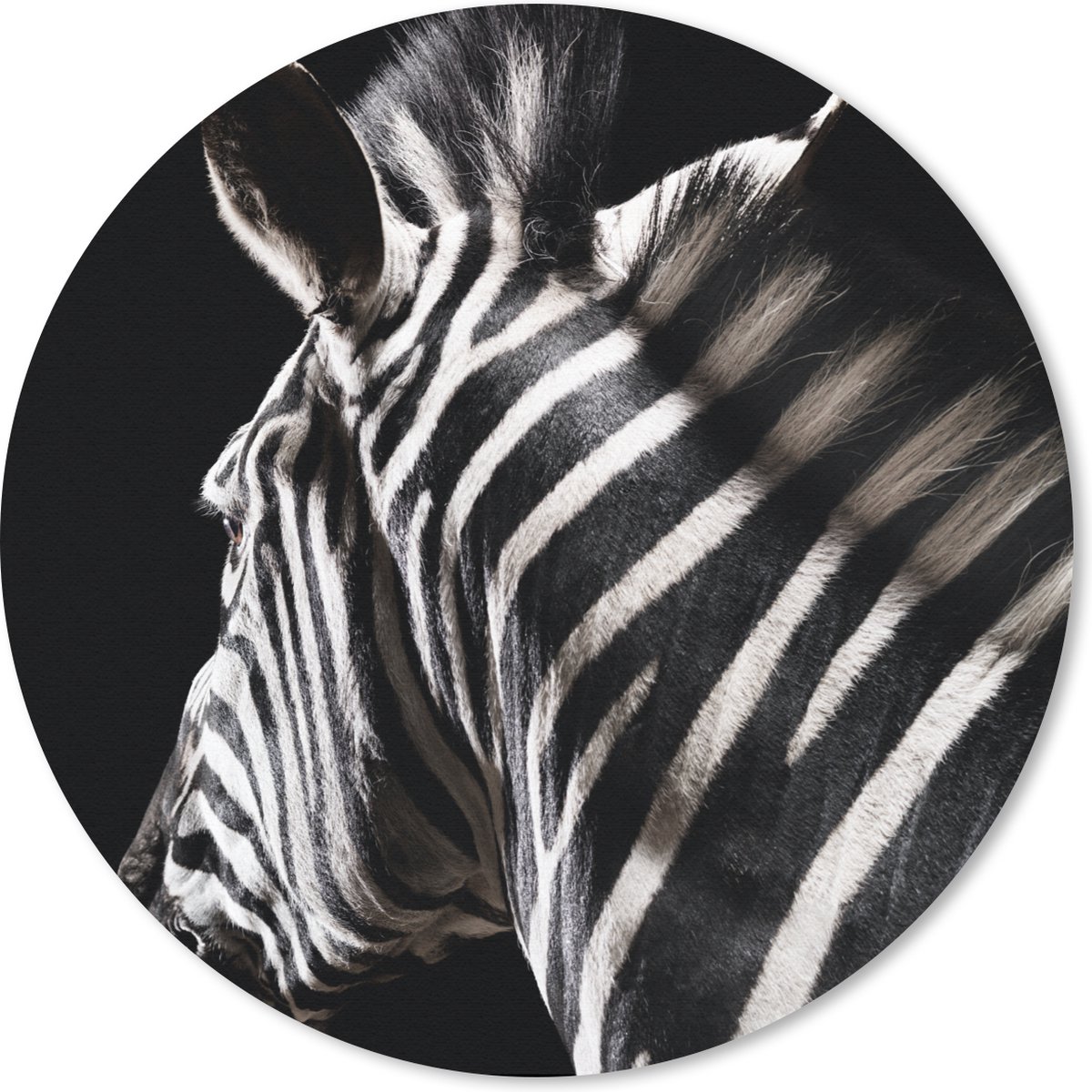 Muismat rond 20x20 cm - Mousepad Zebra - Wilde dieren - Patronen - Ronde muismatten