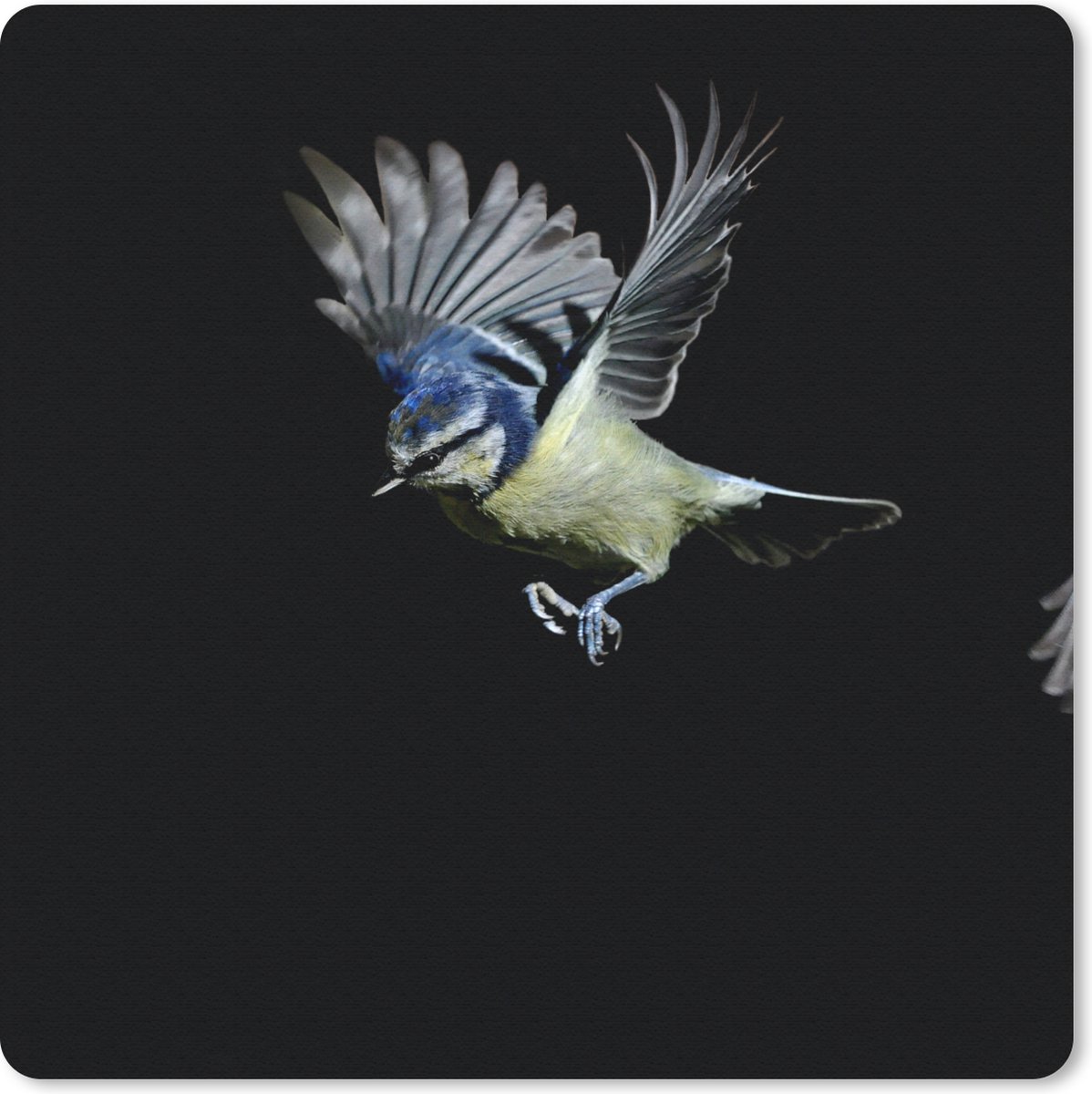 Muismat 30x30 cm - Mousepad Vogels - Veren - Zwart - Muismatten