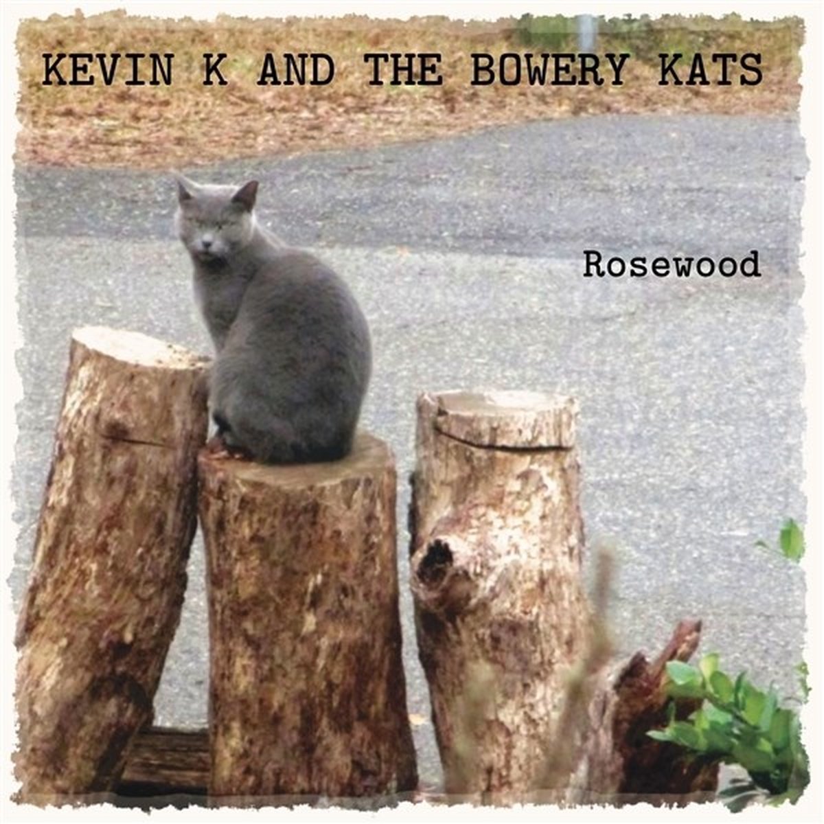 Kevin K And The Bowerey Kats - Rosewood (CD)