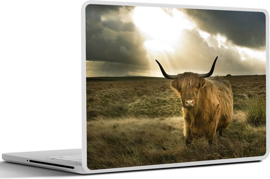 Autocollant pour ordinateur portable - 10,1 pouces - Highlander écossais - Soleil - Animaux - 25x18cm - Autocollants pour ordinateur portable - Peau pour ordinateur portable - Couverture