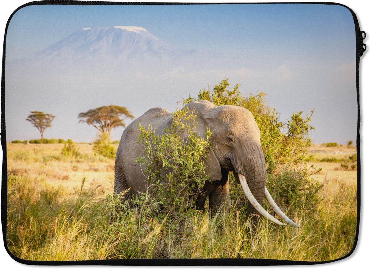 Laptophoes 14 inch - Olifant - Dieren - Gras - Groen - Berg - Laptop sleeve - Binnenmaat 33x23 cm - Zwarte achterkant