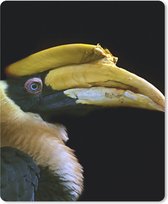 Muismat - Mousepad - Vogel - Snavel - Zwart - 19x23 cm - Muismatten