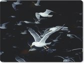 Muismat - Mousepad - Vogel - Zwart - Zwerm - 23x19 cm - Muismatten