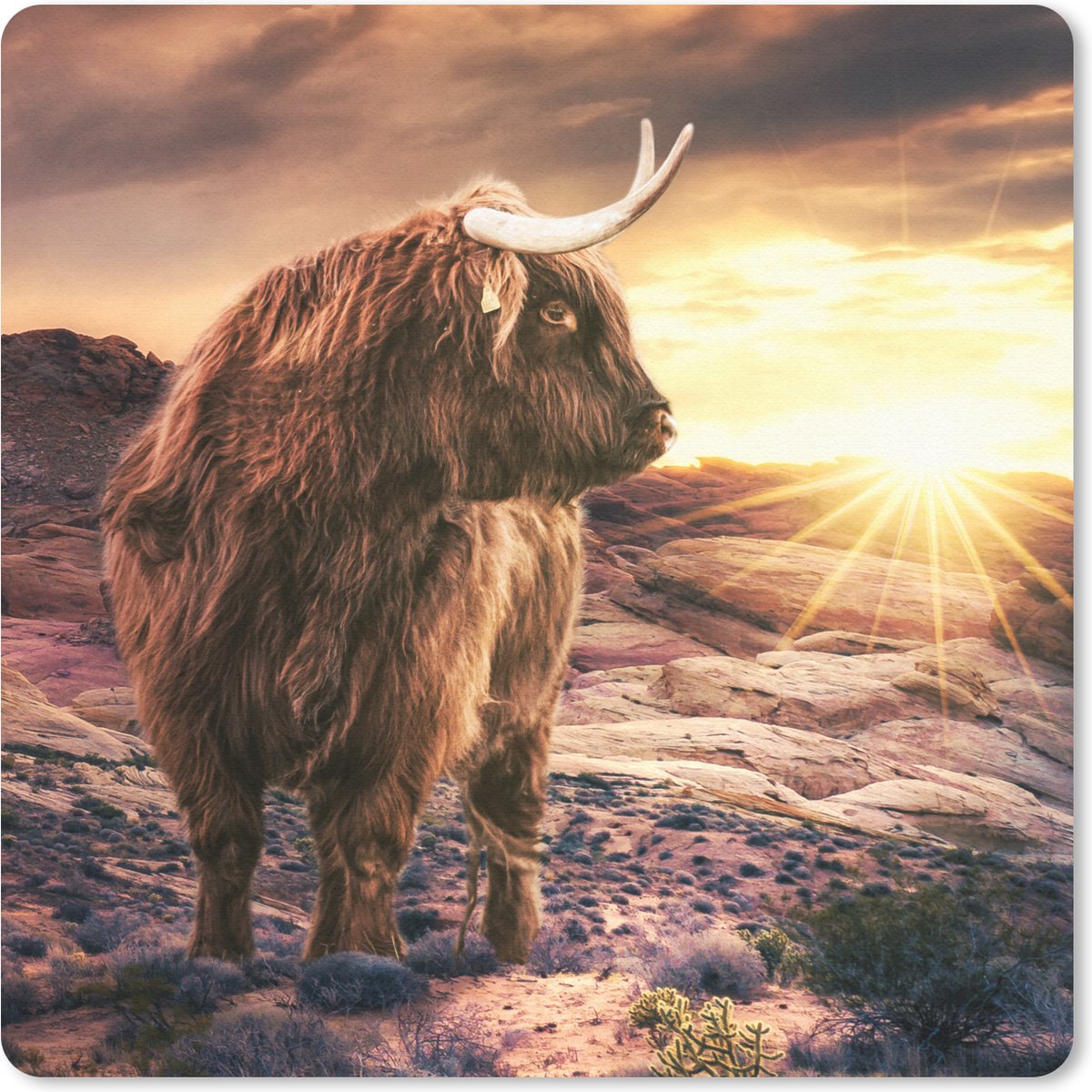 Muismat 20x20 cm - Mousepad Schotse hooglander - Zonsondergang - Dier - Muismatten