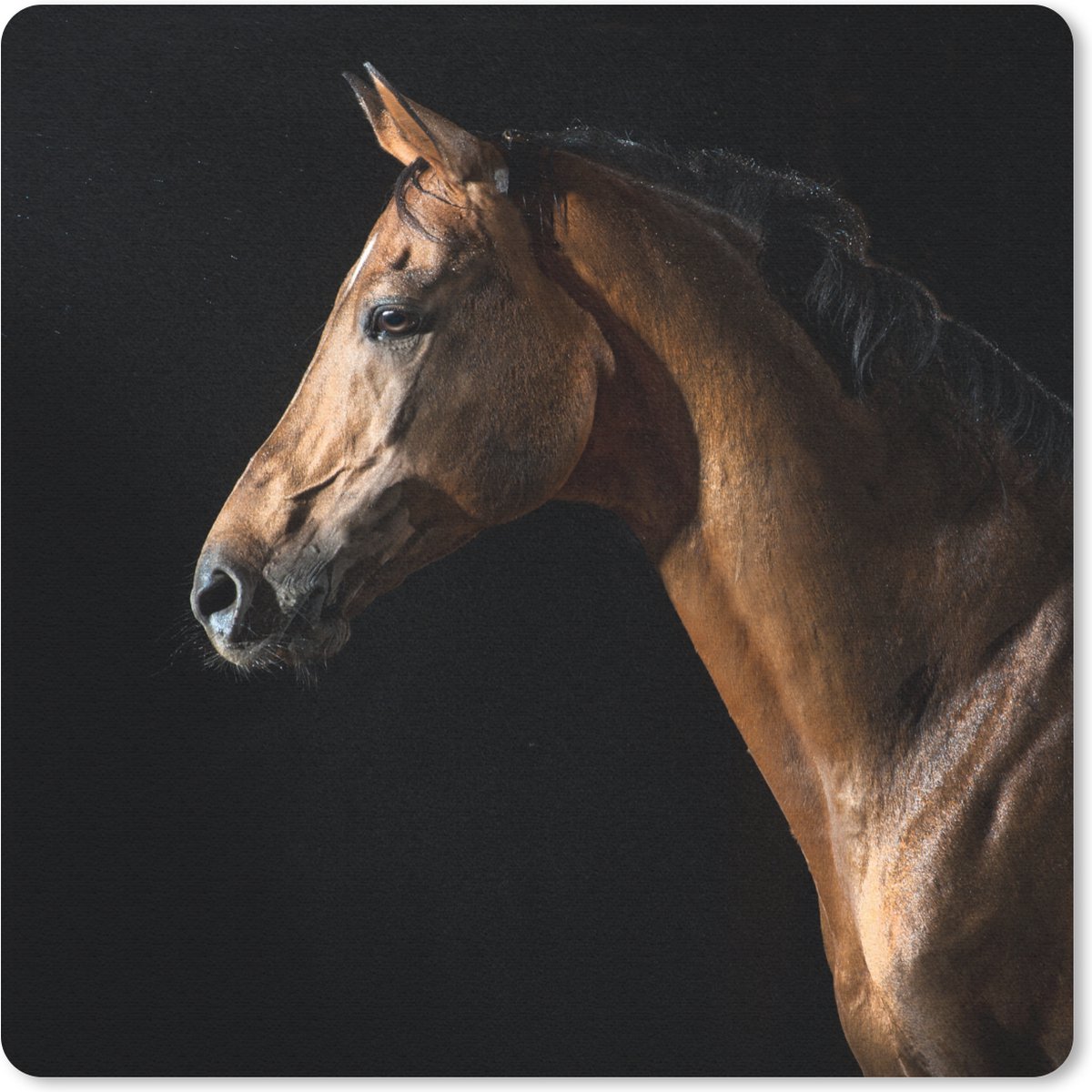 Muismat 20x20 cm - Mousepad Paard - Dieren - Nacht - Zwart - Muismatten