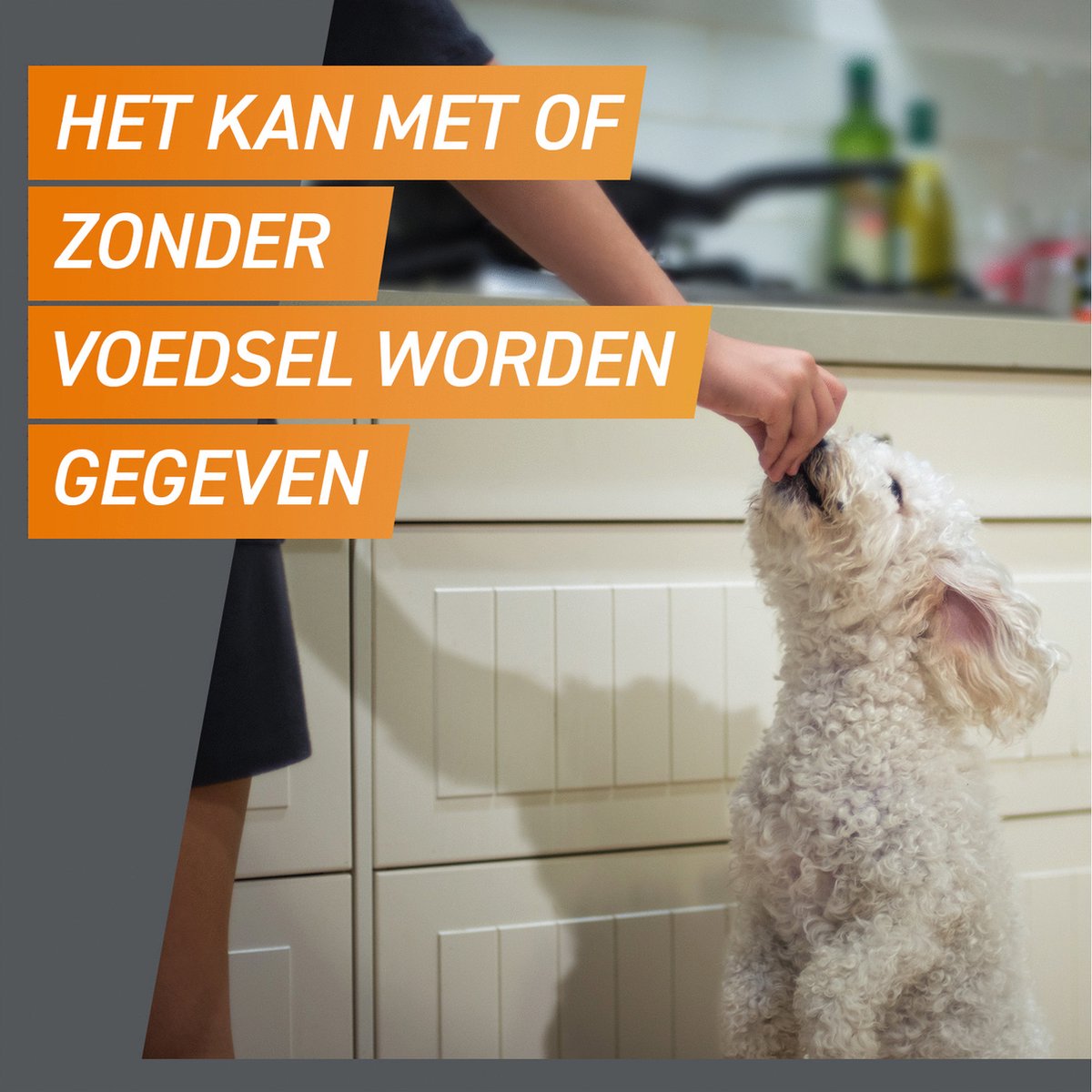 Frontpro Anti vlooien kauwtablet - Hond XL 25-50 kg - 3 tabletten — afbeelding 7