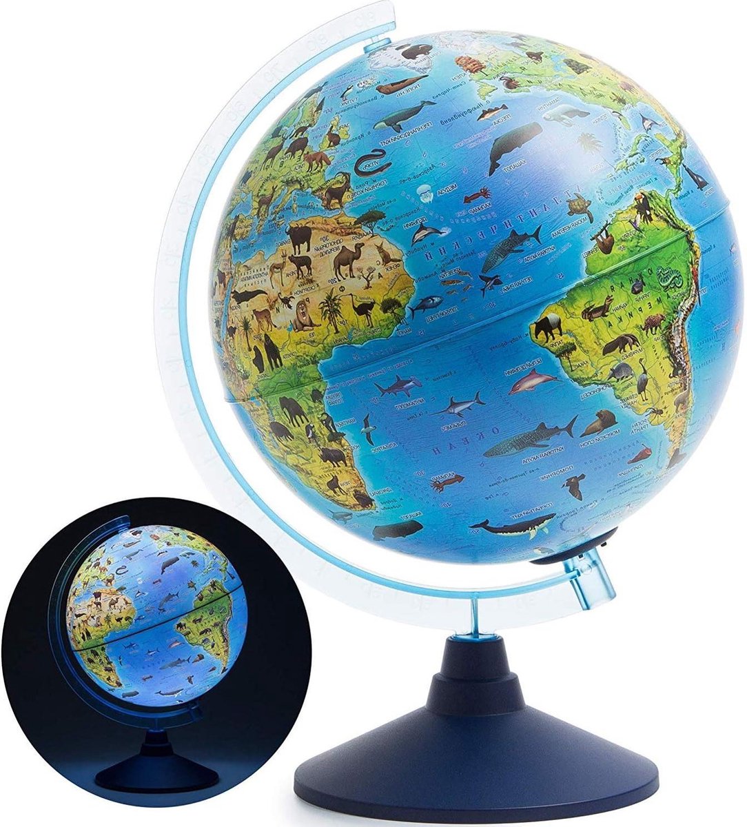 Globe terrestre éclairé 25 cm avec Siècle des Lumières LED gratuites - Câble / 2 en 1 | bol Globe terrestre éclairé 25 cm avec Siècle des Lumières LED gratuites - Câble / 2 en 1 | bol