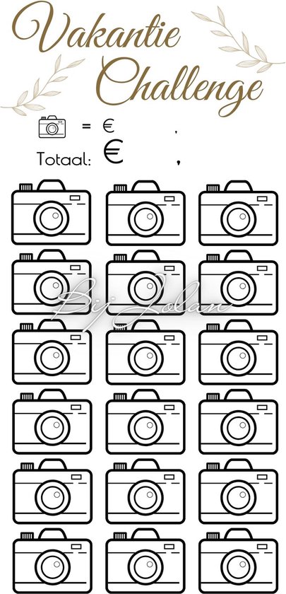 002 Cash Stuffing Challenge Kaarten - 10 stuks - Gelamineerd - BijJolan - Budgetplanner - Spaar Challenge kaarten