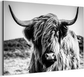 Décoration murale Métal - Peinture Aluminium Industrielle - Highlander écossais - Nature - Vache - Zwart - Wit - 120x80 cm - Dibond - Photo sur aluminium - Décoration murale industrielle - Pour le salon / chambre