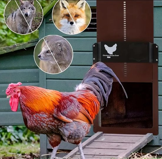 Kippenhok opener Chicken Guard Extreme | zelfsluitende deur