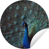 Garden Circle Paon - Ressorts - Couleurs - 90x90 cm - Affiche de Jardin Ronde - Extérieur