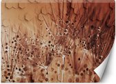 Trend24 - Behang - Dauwdruppels Met Paardebloemen - Behangpapier - Fotobehang 3D - Behang Woonkamer - 150x105 cm - Incl. behanglijm