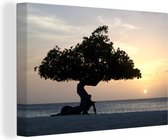Canvas schilderij 180x120 cm - Wanddecoratie Eenzame boom staat op het strand in Aruba - Muurdecoratie woonkamer - Slaapkamer decoratie - Kamer accessoires - Schilderijen