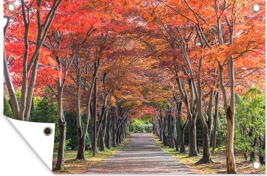 Tuinposter - Tuindoek - Tuinposters buiten - Bomen met rode bladeren staan naast een pad in de Japanse stad Sapporo - 120x80 cm - Tuin
