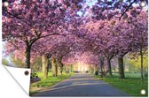 Tuinposters buiten Roze bloesem in bomen in Greenwich Park - 90x60 cm - Tuindoek - Buitenposter