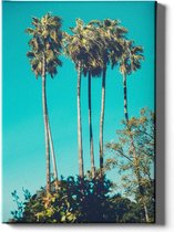 Walljar - Tropical Dream - Muurdecoratie - Canvas schilderij