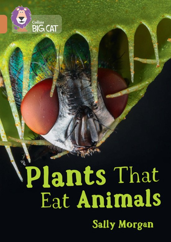 Plants that Eat Animals, Sally 9780008479046 Livres