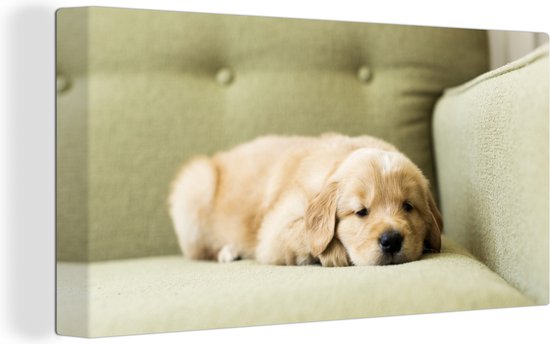 Canvas Schilderij Een slapende Golden Retriever puppy op de bank - 80x40 cm - Wanddecoratie