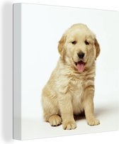 Canvas Schilderij Portretfoto van een donzige Golden Retriever-puppy - 90x90 cm - Wanddecoratie