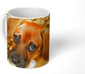 Mok - Een  een Beagle puppy - 350 ML - Beker