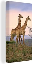 Canvas Schilderij Giraffes - Lucht - Landschap - 20x40 cm - Wanddecoratie