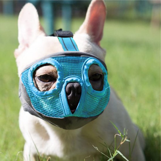 Foto: Sharon b muilkorf voor honden met een platte hele korte snuit maat xl blauw hoofdomvang 46 64 cm voor mastiffs engelse bulldog