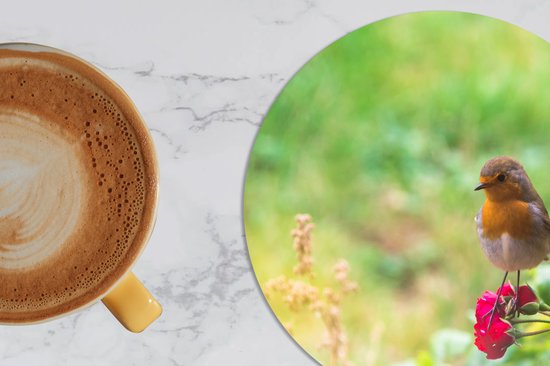 Sous- Sous-verres pour verres - Ronds - Robin - Rose - Rouge - 10x10 cm - 6 pièces