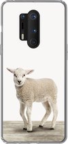 Geschikt voor OnePlus 8 Pro hoesje - Lammetje - Schaap - Dieren - Kinderen - Meisjes - Jongens - Siliconen Telefoonhoesje