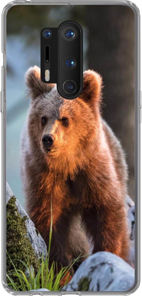 Telefoonhoesje Geschikt voor OnePlus 8 Pro hoesje - Beer - Bruin - Dier - Siliconen Telefoonhoesje Telefoonhoesje