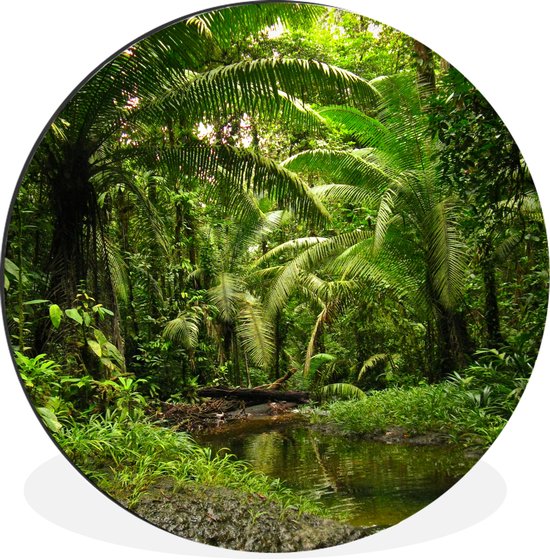 WallCircle - Wandcirkel - Muurcirkel - Tropisch regenwoud in Colombia - Aluminium - Dibond - ⌀ 90 cm - Binnen en Buiten