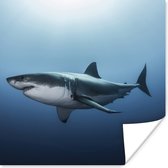 Poster Zijaanzicht grote witte haai - 100x100 cm XXL