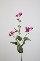 Kunstbloem - set van 2  - Tricyrtishirta orchidee - decoratieve tak -  61 cm - paars