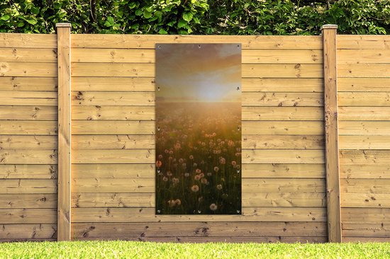 Affiche de clôture Coucher de soleil - Fleurs - Couleurs - 100x200 cm - Toile de jardin