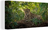 Canvas Schilderij Jaguar in de jungle - 80x40 cm - Wanddecoratie