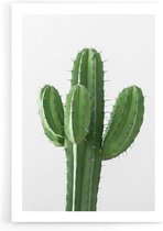 Walljar - Cactus - Muurdecoratie - Poster