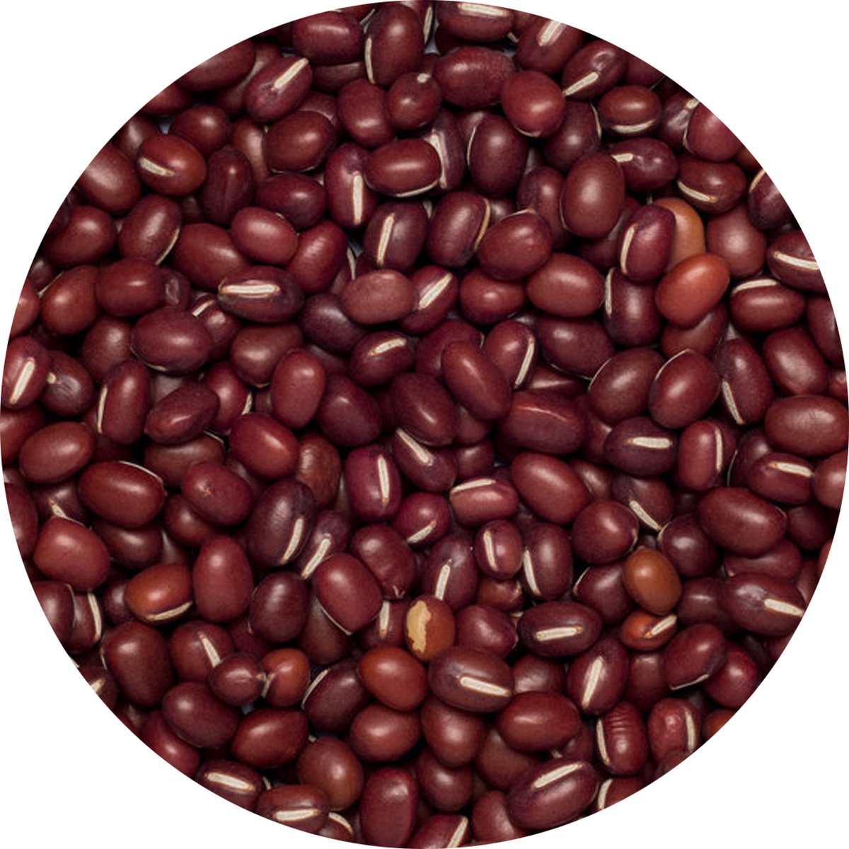 Goedkoopste Adukibonen heel - 100 gram - Holyflavours