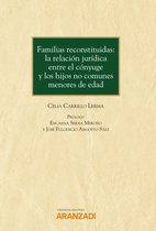 Manuales 1308 - Familias reconstituidas: la relación jurídica entre el cónyuge y los hijos no comunes menores de edad