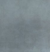 WOON-DISCOUNTER.NL - Portland Gris Lucid 60 x 60 cm -  Keramische tegel  -  - 533500